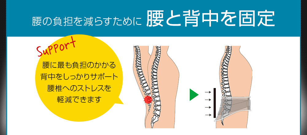 腰と背中を固定